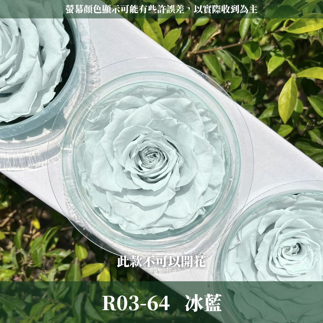 R03s 永生7~8 CM拼接玫瑰｜買三顆省246元｜永生巨型玫瑰 不凋玫瑰花頭 花束花材 永生花 乾燥花 拚色混色花朵
