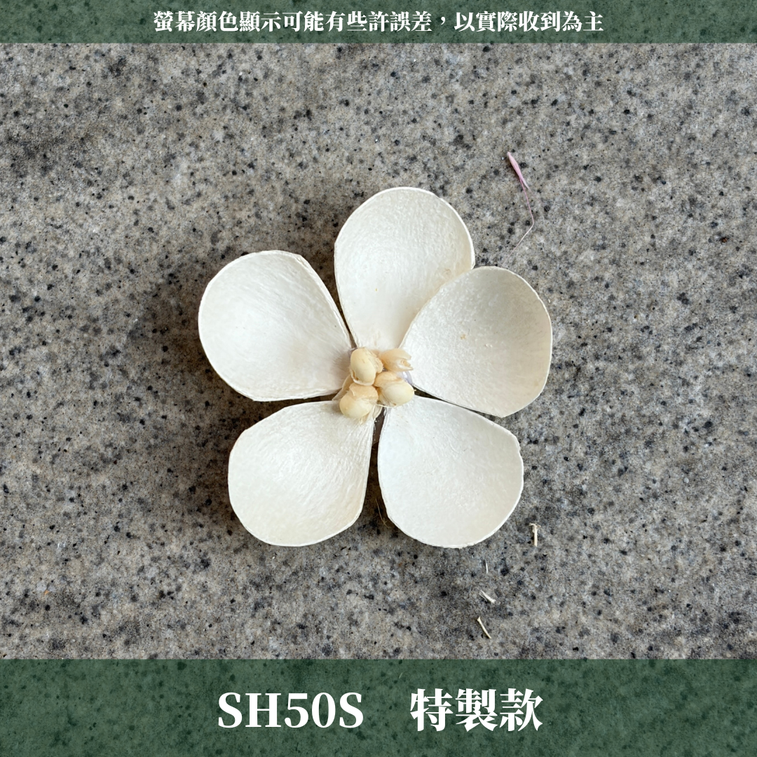 SH50S 紫羅蘭花頭單朵｜木片花 紫羅蘭 蝴蝶蘭 蝴蝶花 手工花 乾燥花 乾燥手工花 DIY裝飾 拍攝道具材料 手作花