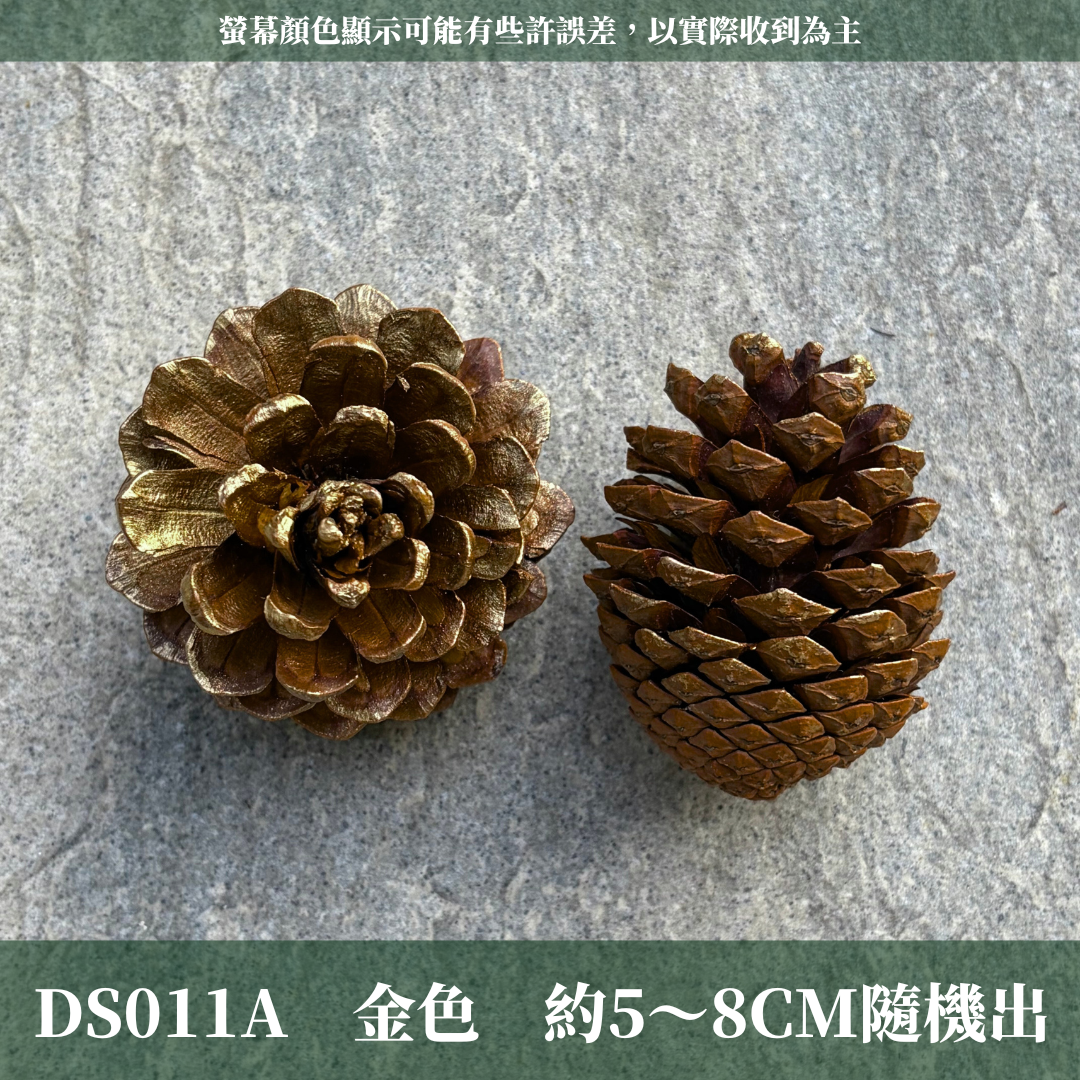 DS011A 單入噴色松果｜DS011A 單入噴色松果｜金色松果 銀色松果 下雪松果 乾燥天然松果 聖誕裝飾 花圈DIY 花藝花材 森林風佈置
