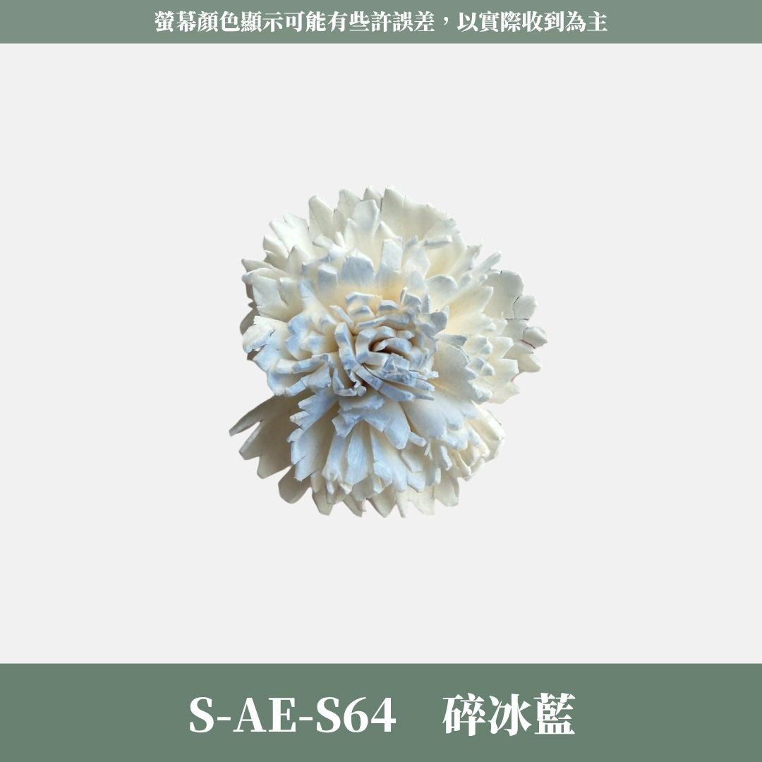 S-AE 4CM康乃馨索拉花花頭｜乾燥花 母親節擴香花 康乃馨花束 母親節花禮 DIY手作 乾燥花花束花禮 乾燥通草花頭