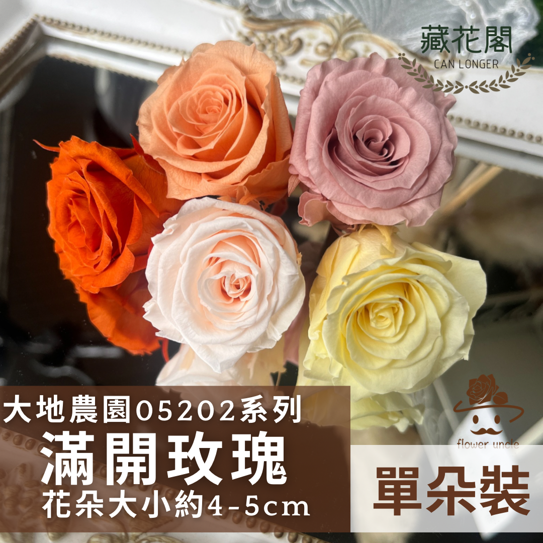 05202 大玫瑰