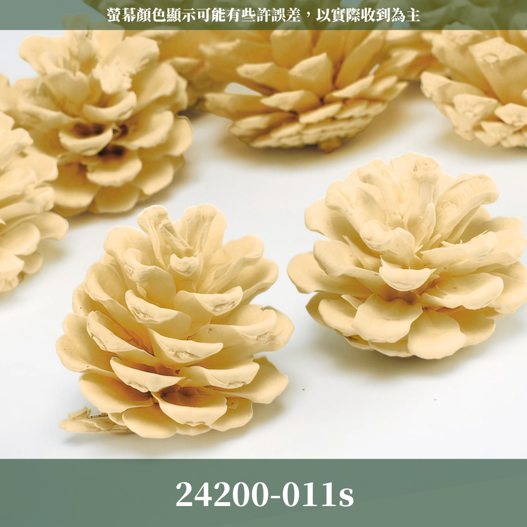 24200-011s 日本米白松果單入 | 日本松果 米白松果 日本大地農園 聖誕DIY 花圈材料 乾燥果實 花藝裝飾