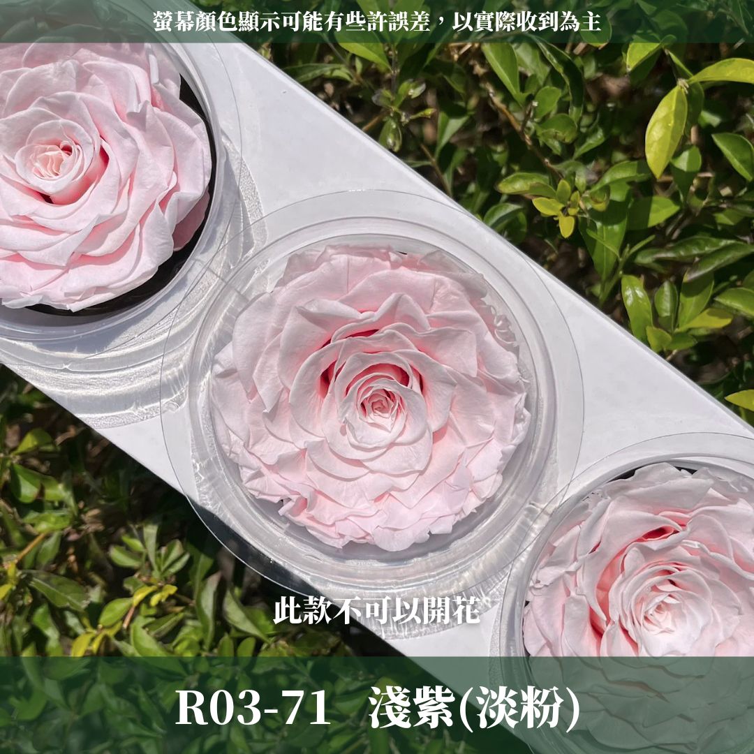 R03s 永生7~8 CM拼接玫瑰｜買三顆省246元｜永生巨型玫瑰 不凋玫瑰花頭 花束花材 永生花 乾燥花 拚色混色花朵
