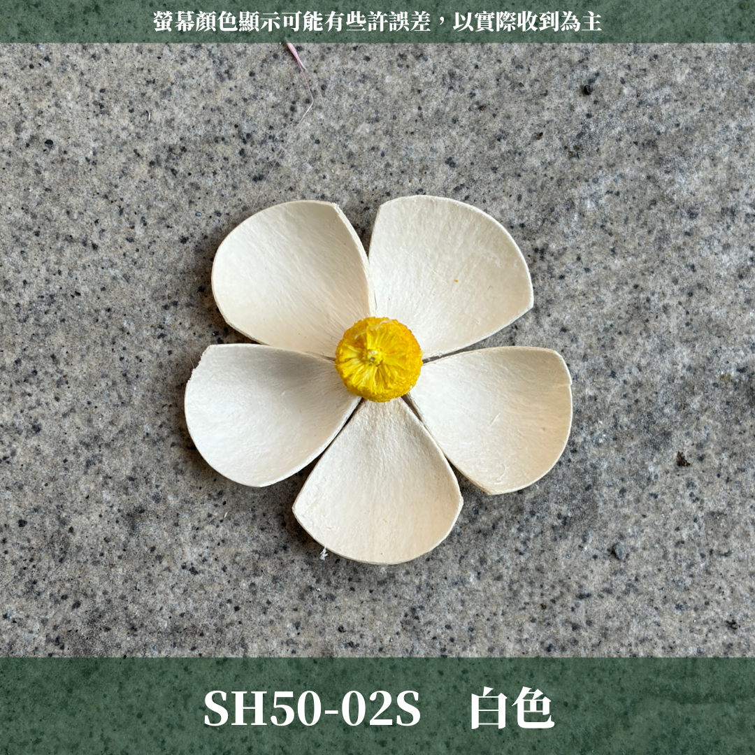 SH50S 紫羅蘭花頭單朵｜木片花 紫羅蘭 蝴蝶蘭 蝴蝶花 手工花 乾燥花 乾燥手工花 DIY裝飾 拍攝道具材料 手作花