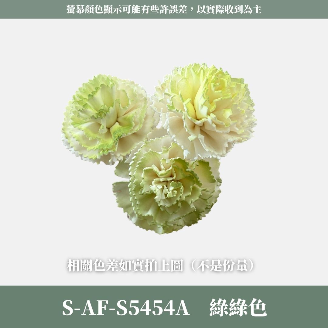 S-AF 6CM康乃馨索拉花花頭｜乾燥花 母親節擴香花 康乃馨花束 母親節花禮 DIY手作 乾燥花花束花禮 乾燥通草花頭