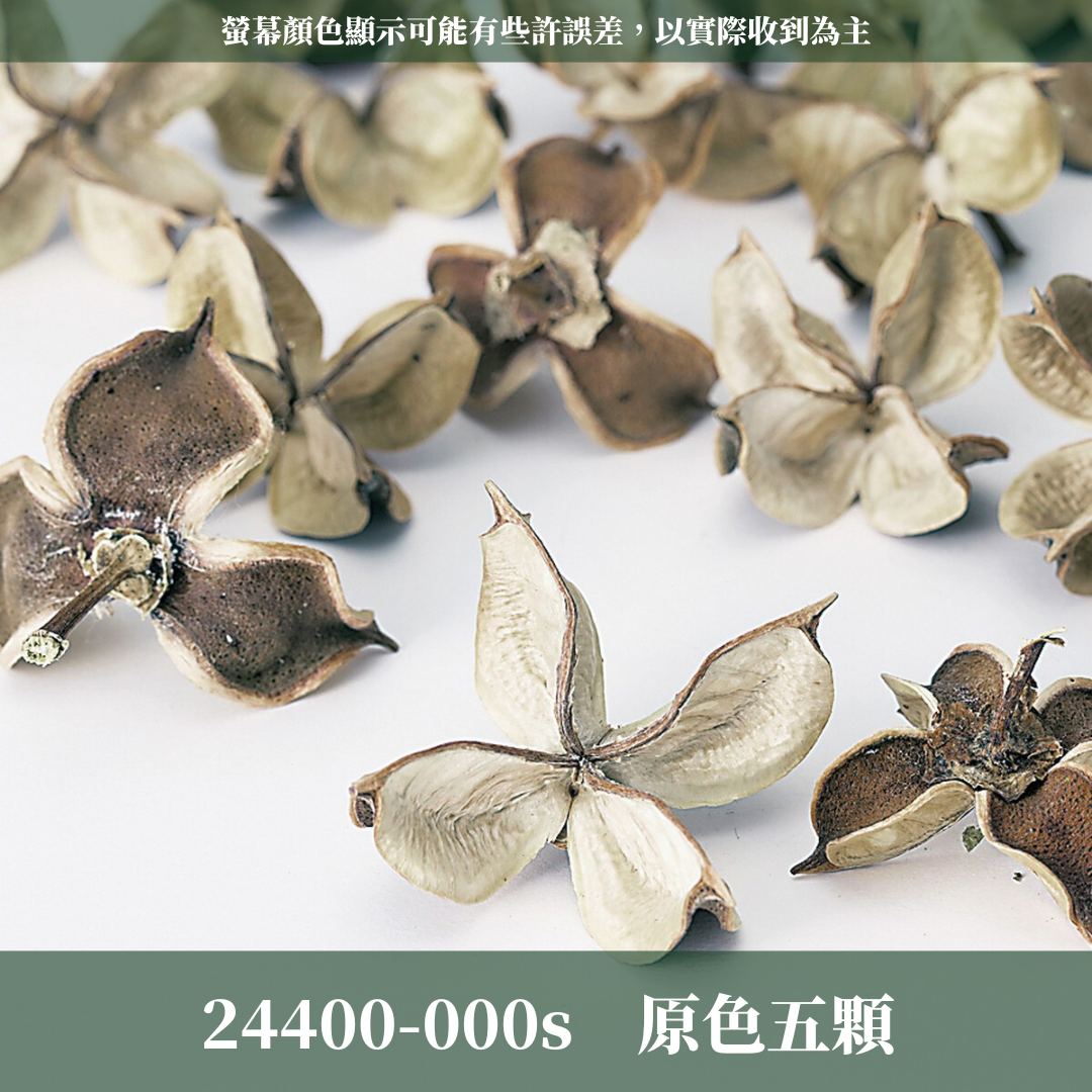 24400s 日本棉花殼經濟包(3/5個) ｜日本大地 乾燥花材 花圈材料 24400-902 24400-000