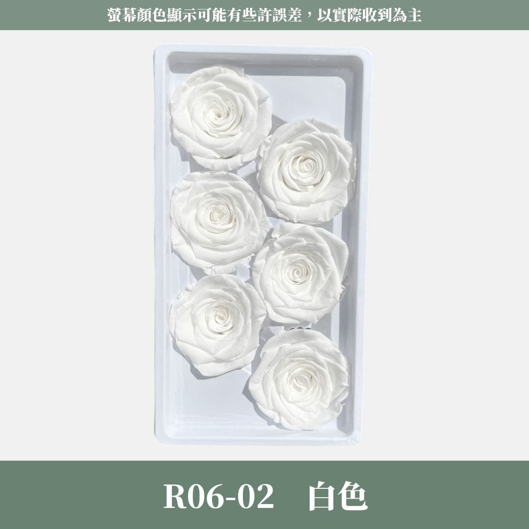 R06s A級六輪玫瑰｜買六朵省120元｜約 5-6 cm｜花藝師必買 不凋大玫瑰花頭 永生玫瑰 花束材料 捧花材料