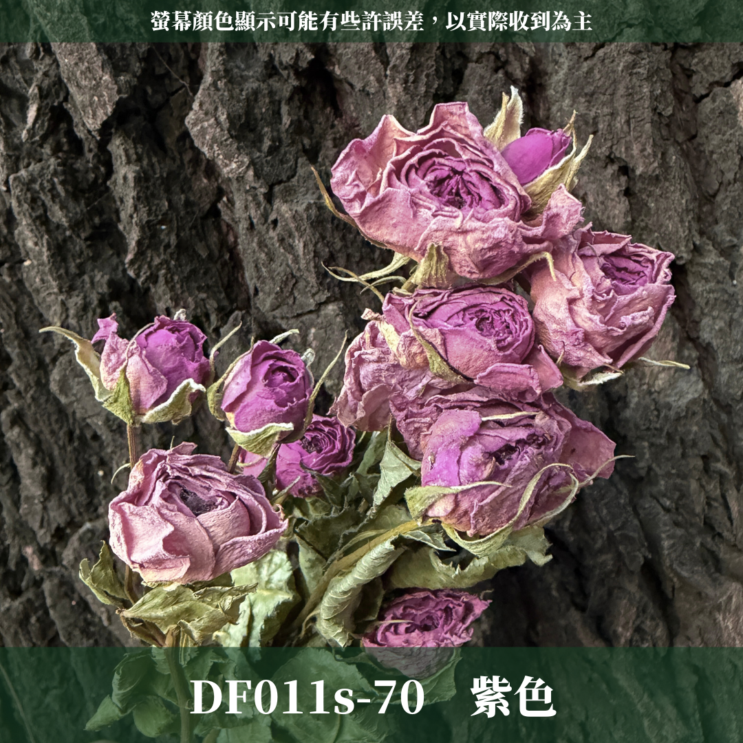 DF011S 乾燥玫瑰經濟包｜進口乾燥花 花束花材 情人節 畢業花禮 拍照道具 手作素材 花圈設計 不凋風格 台灣現貨