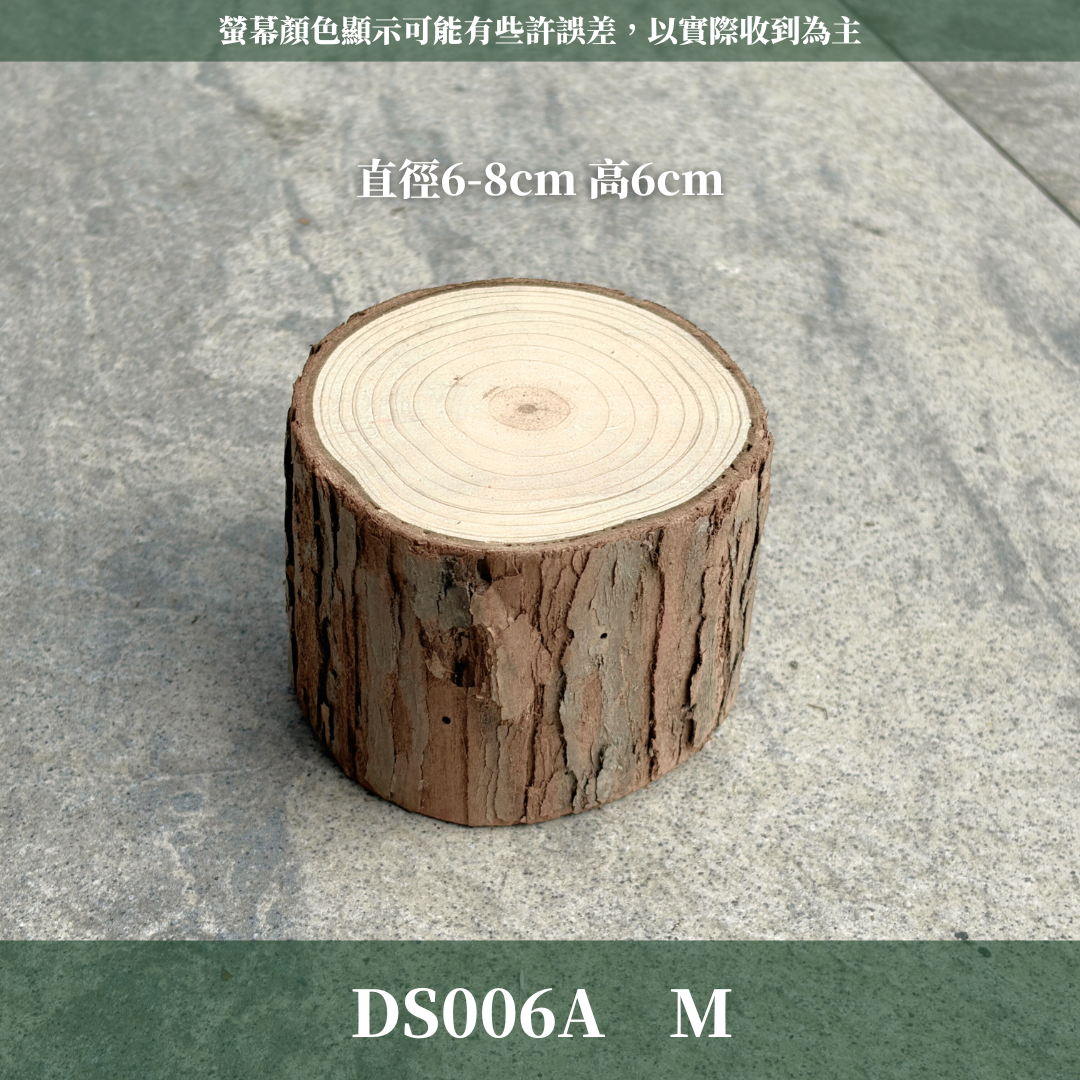 DS006A 原木樹桩｜天然樹桩 園藝造景 園藝木 木樁裝飾 木樁造景 自然風裝飾 拍照道具 婚禮佈置 DIY 陽台裝飾