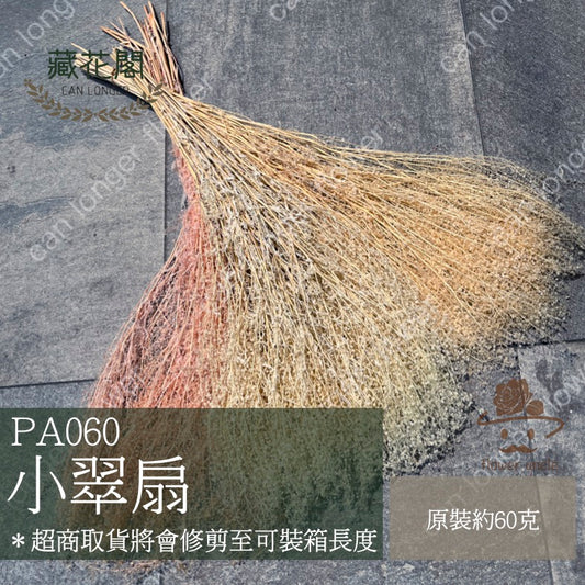 ✿ 台灣現貨 ✿ PA060 小翠扇