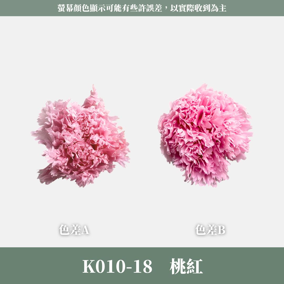 K10s A級康乃馨花頭｜全網最便宜，虧本賣｜10朵只要285！進口永生約4~5cm康乃馨 康乃馨母親節花束材料 不凋花