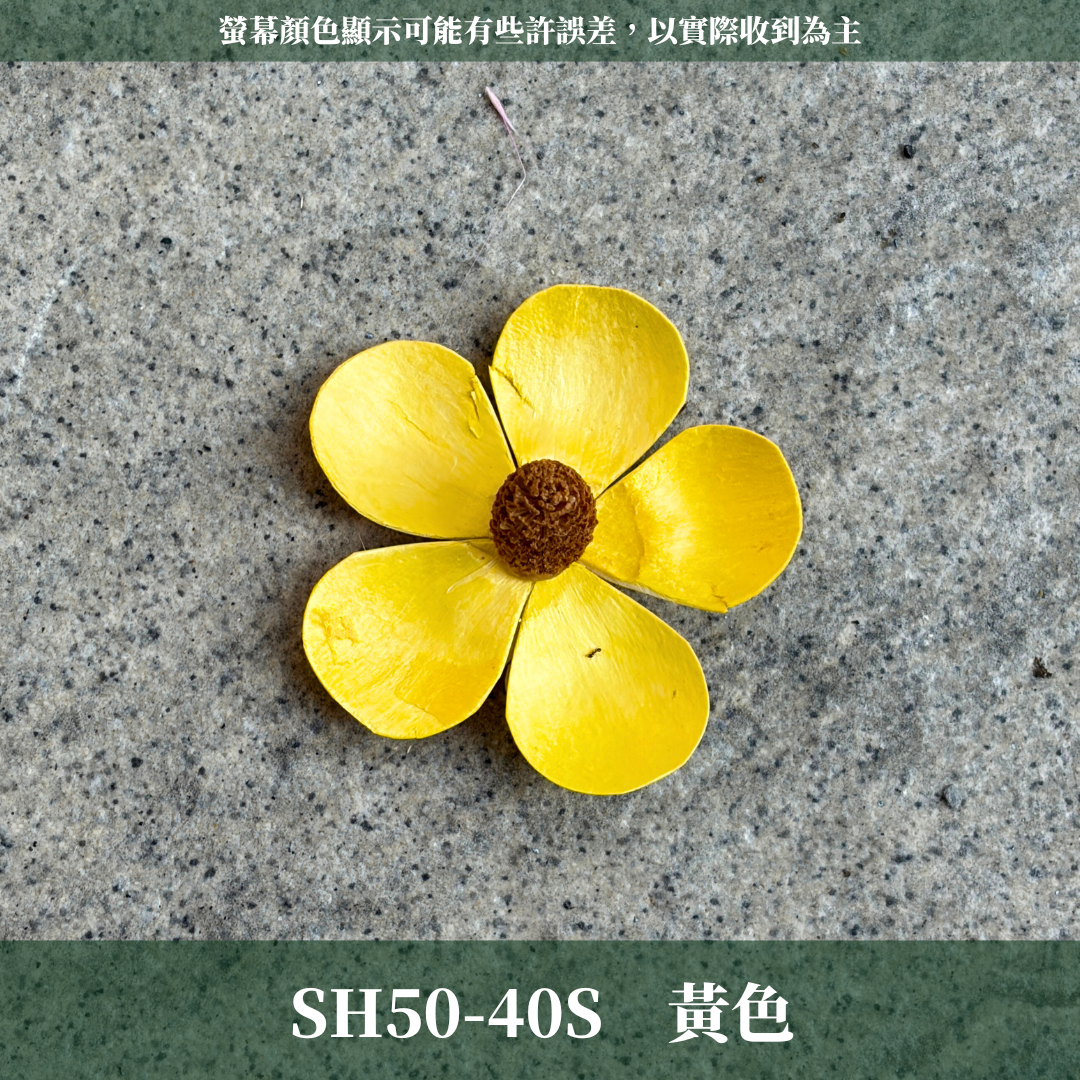 SH50S 紫羅蘭花頭單朵｜木片花 紫羅蘭 蝴蝶蘭 蝴蝶花 手工花 乾燥花 乾燥手工花 DIY裝飾 拍攝道具材料 手作花