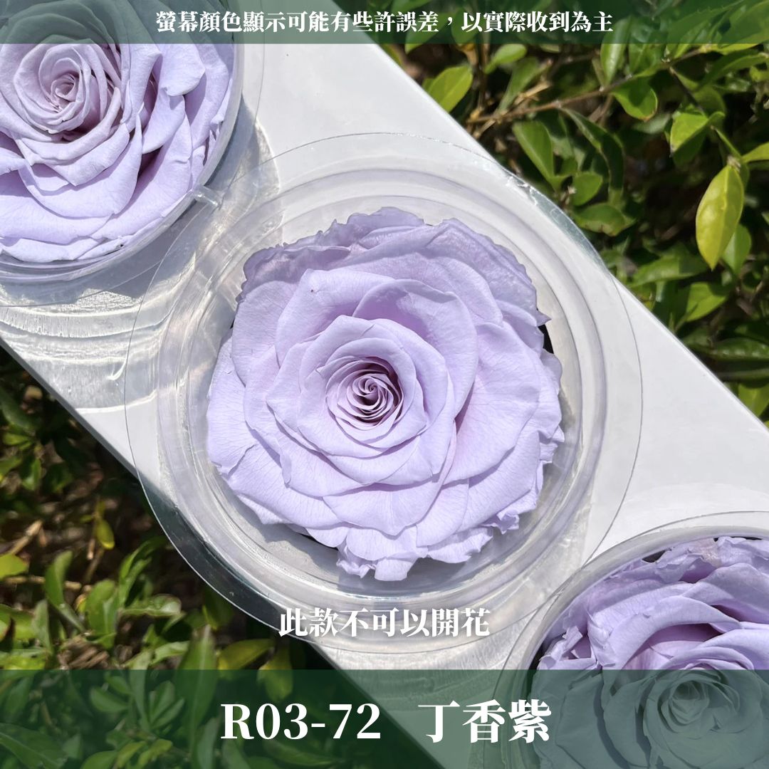 R03 永生7~8 CM拼接玫瑰｜永生巨型玫瑰 不凋玫瑰花頭 花束花材 永生花 乾燥花 拚色混色花朵 畢業季 永生花束