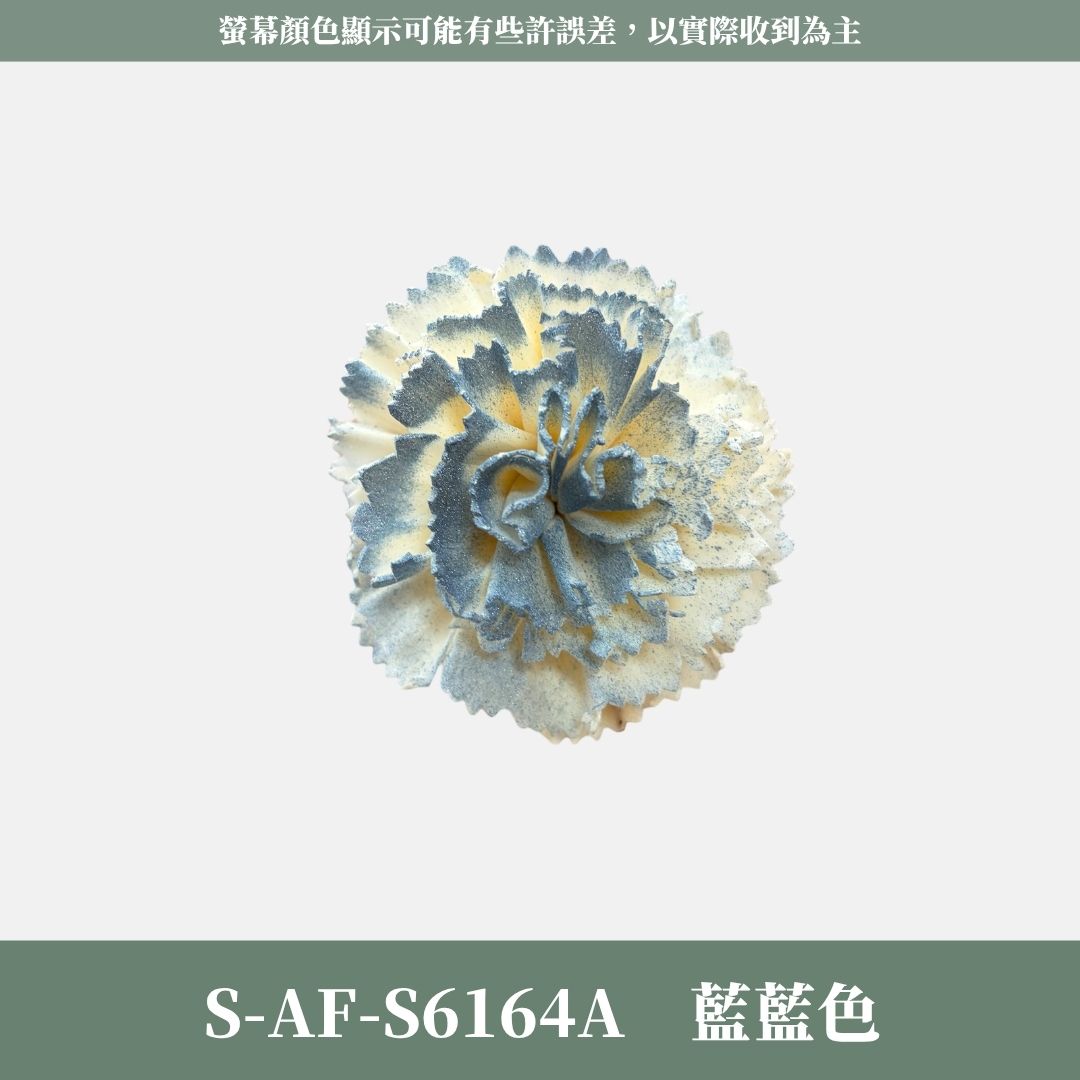 S-AF 6CM康乃馨索拉花花頭｜乾燥花 母親節擴香花 康乃馨花束 母親節花禮 DIY手作 乾燥花花束花禮 乾燥通草花頭