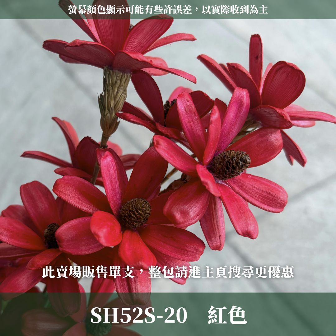 SH52S 小雛菊瓜子花單支｜5cm｜木片花 手工花 乾燥花 乾花新瓜子花 不凋花 永生花 花束花材 捧花材料 胸花手作