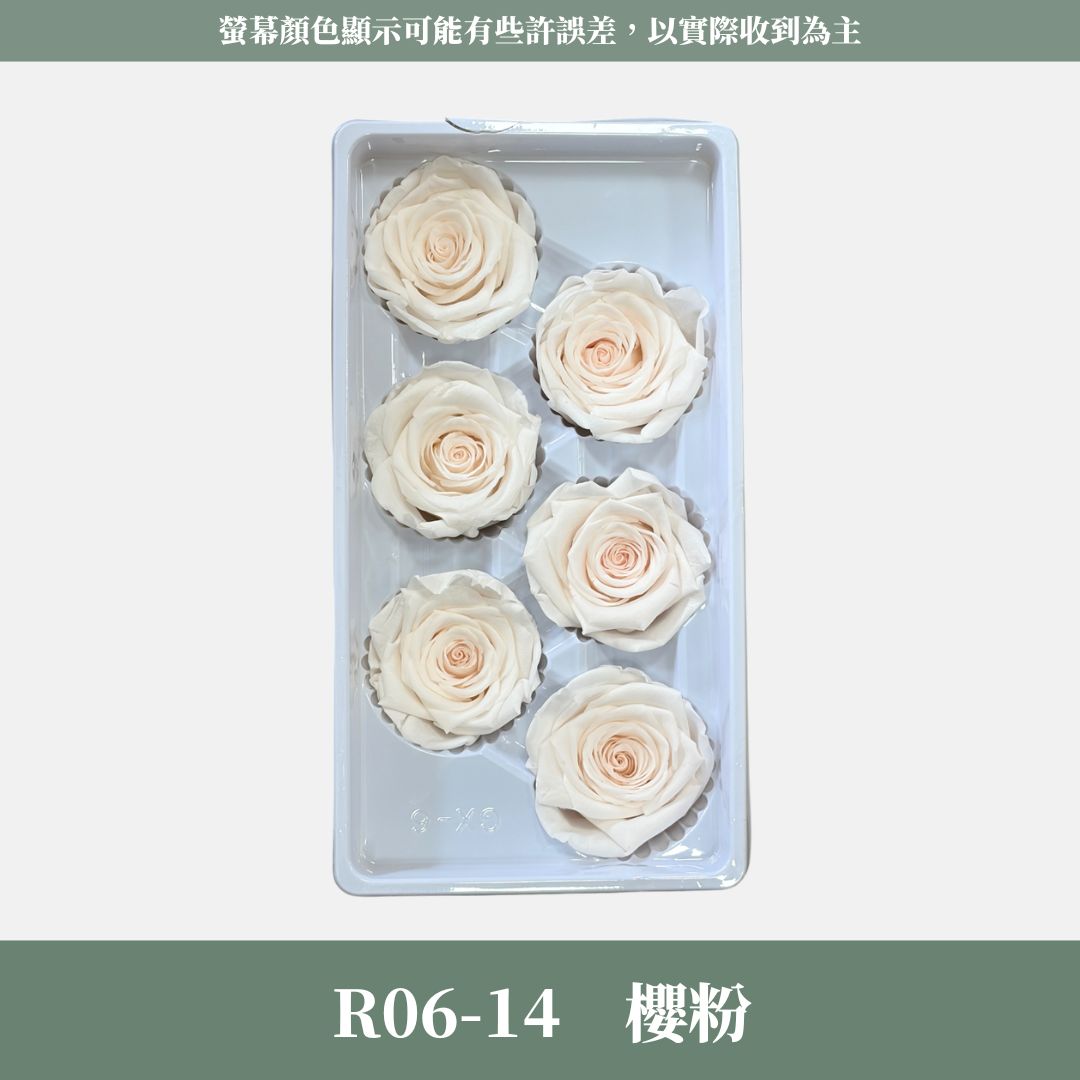 R06 A級六輪玫瑰｜約 5-6 cm｜花藝師必買 不凋大玫瑰花頭 永生玫瑰 香頌玫瑰 甦醒玫瑰 花束材料 捧花材料