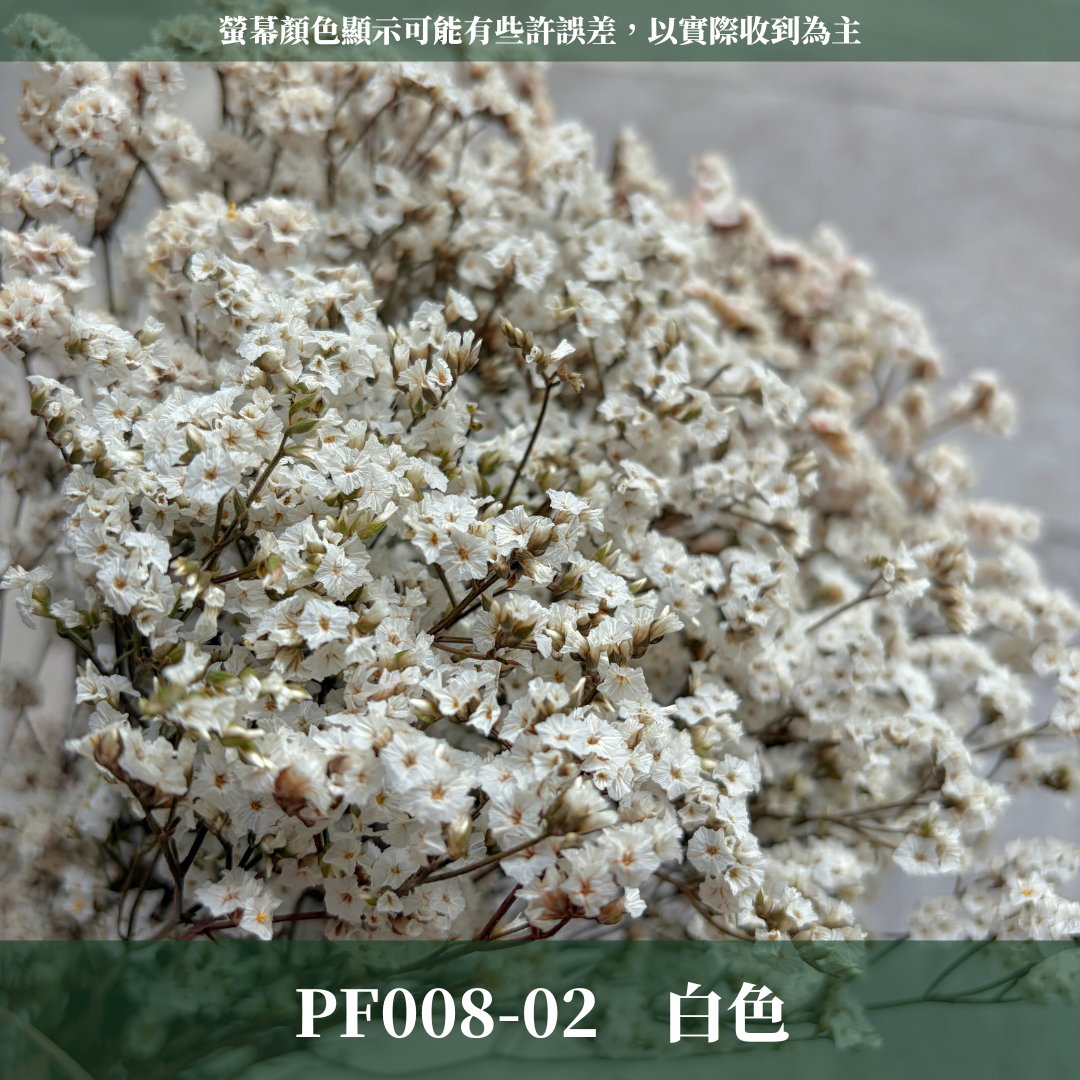 PF008 原裝水晶花｜現貨