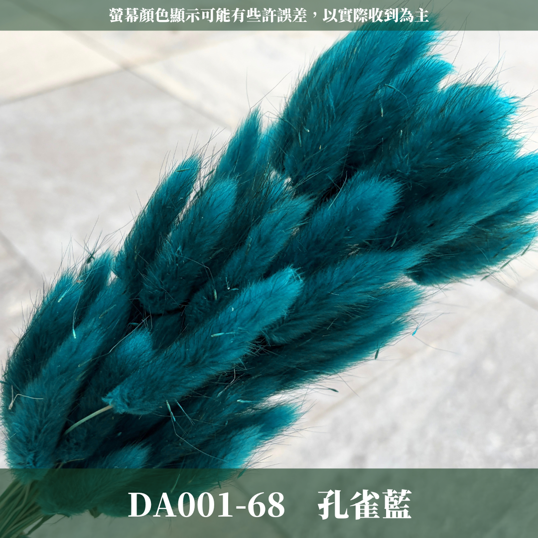 DA001S 兔尾草 10支 小份量 台灣現貨
