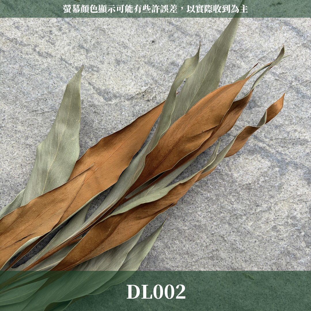 DL002 原裝銀樺葉（15葉）｜雙面葉材 乾燥葉材 乾燥花 花材 佛塔葉 金樺葉 乾燥金樺葉 乾燥銀樺葉 配草 藤圈