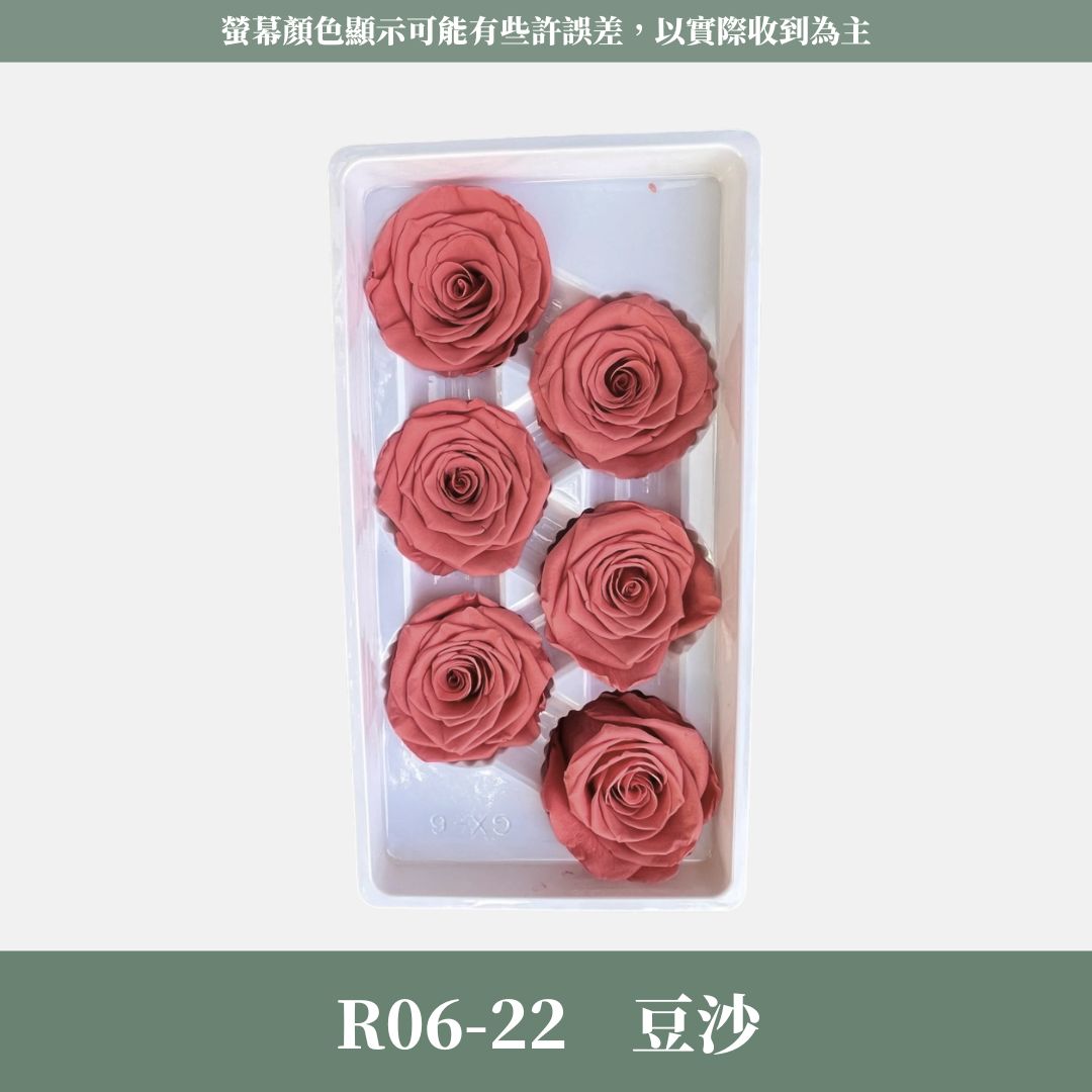 R06 A級六輪玫瑰｜約 5-6 cm｜花藝師必買 不凋大玫瑰花頭 永生玫瑰 香頌玫瑰 甦醒玫瑰 花束材料 捧花材料