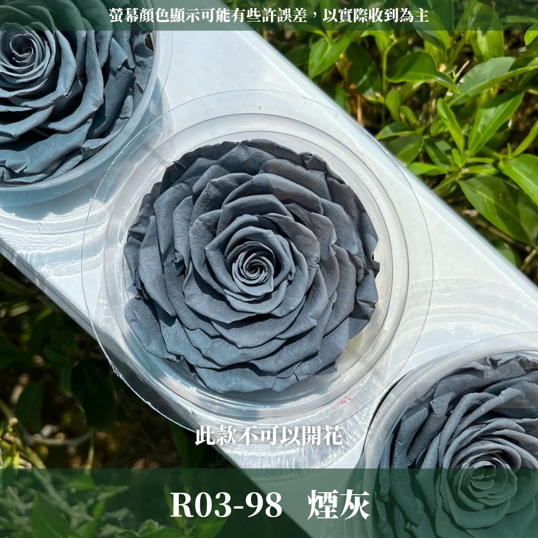 R03 永生7~8 CM拼接玫瑰｜永生巨型玫瑰 不凋玫瑰花頭 花束花材 永生花 乾燥花 拚色混色花朵 畢業季 永生花束