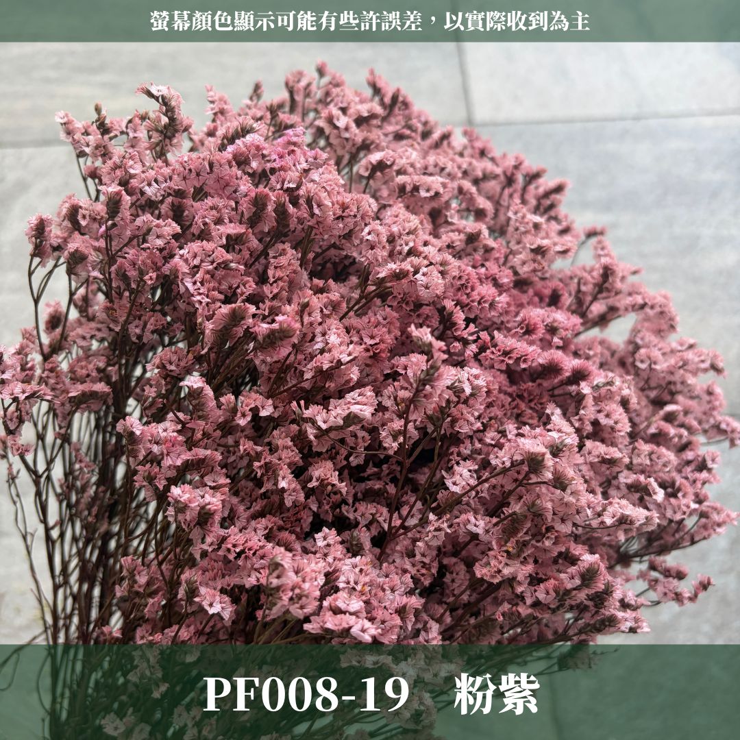 PF008 原裝水晶花｜買四送一｜花藝師必買！永生水晶花 不凋水晶花 手作花材 花藝DIY 雪花草 花材 浮游花 乾燥花