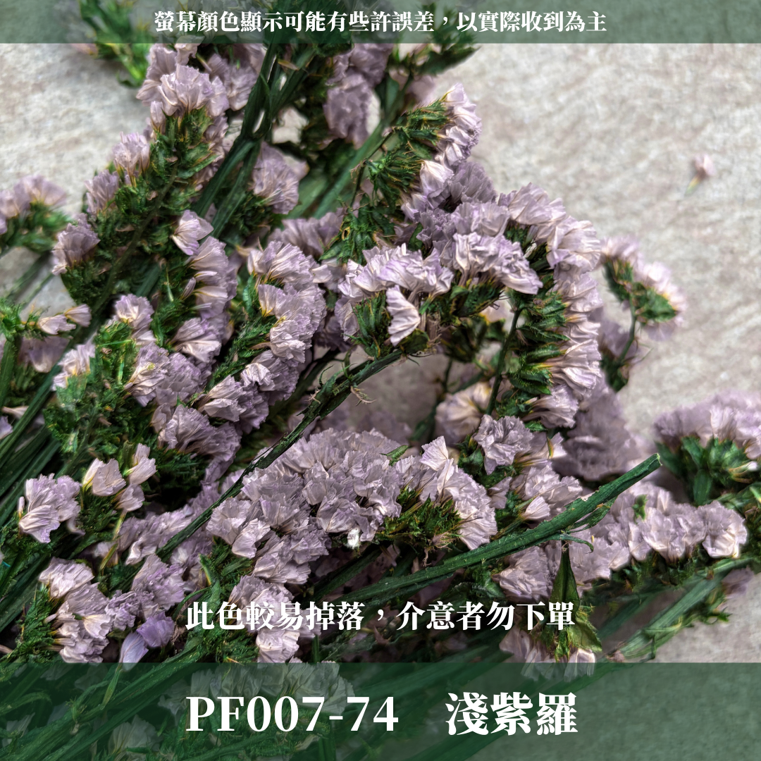 PF007 原裝永生星辰花｜勿忘我 不凋花 永生花材 花藝材料 婚禮花束 DIY捧花 拍照道具 手作素材 鄉村風擺飾