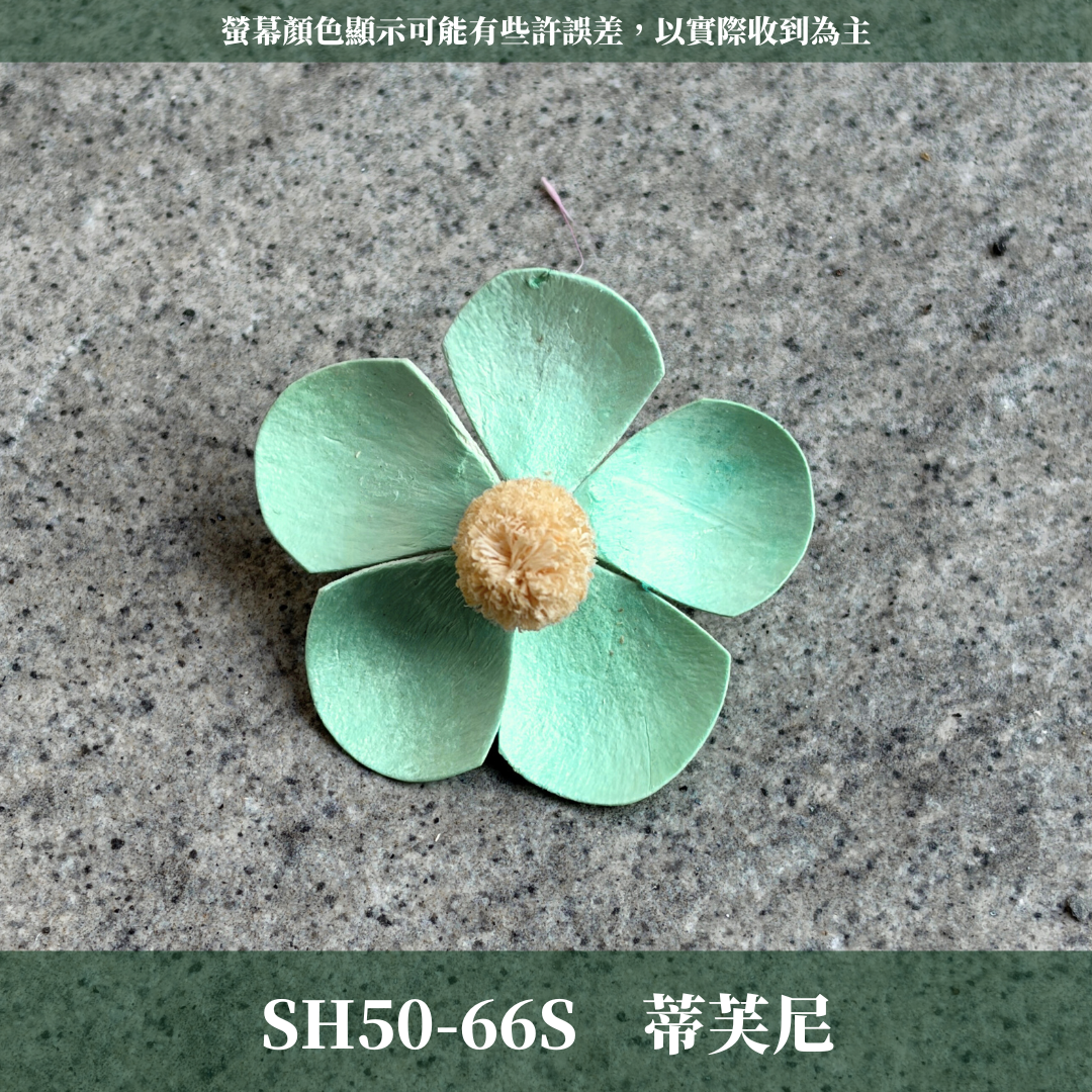 SH50S 紫羅蘭花頭單朵｜木片花 紫羅蘭 蝴蝶蘭 蝴蝶花 手工花 乾燥花 乾燥手工花 DIY裝飾 拍攝道具材料 手作花