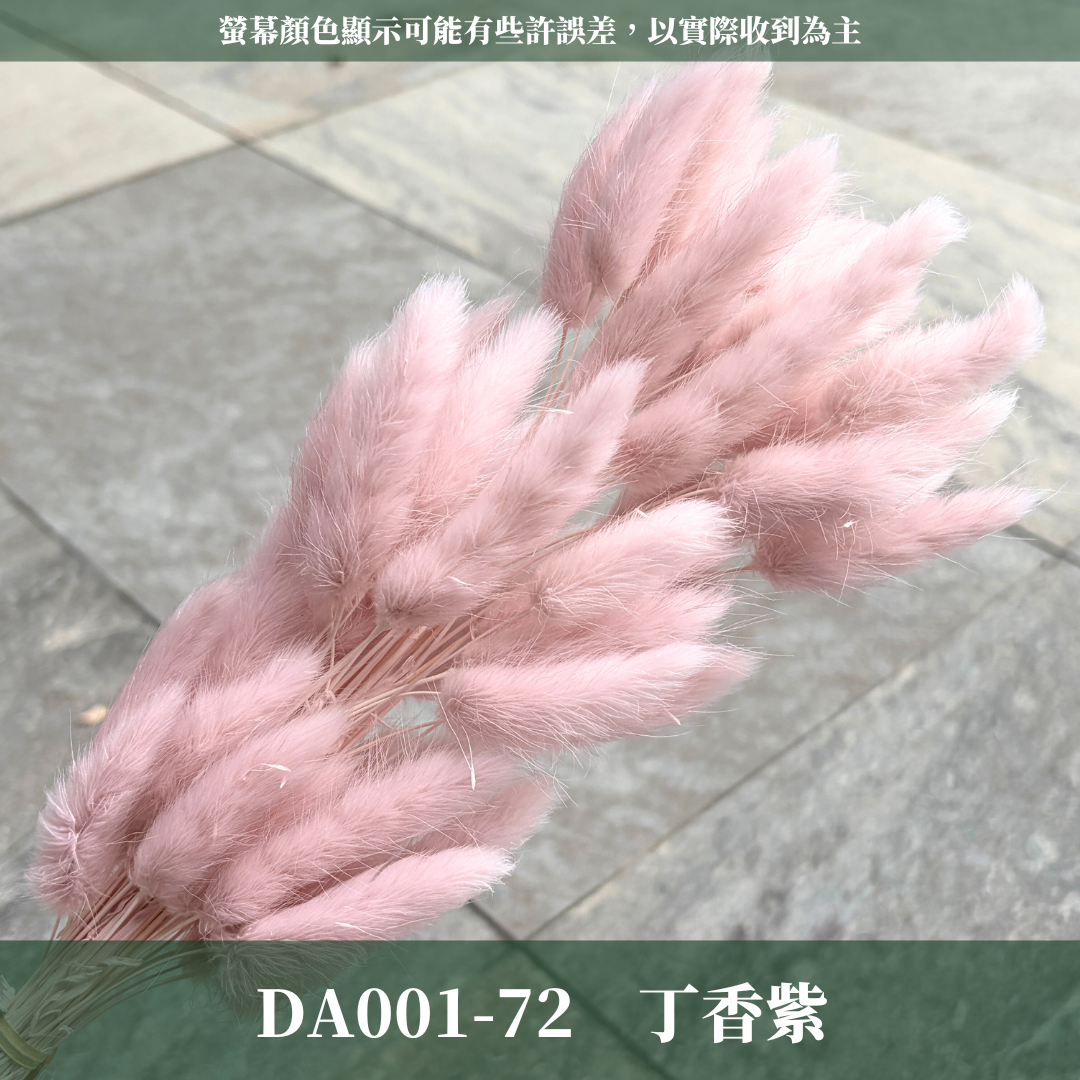 DA001 原裝兔尾草｜彩色兔尾草 乾燥永生花 花束花材 莫蘭迪色 插花DIY 拍照道具 乾燥兔尾草 乾燥花