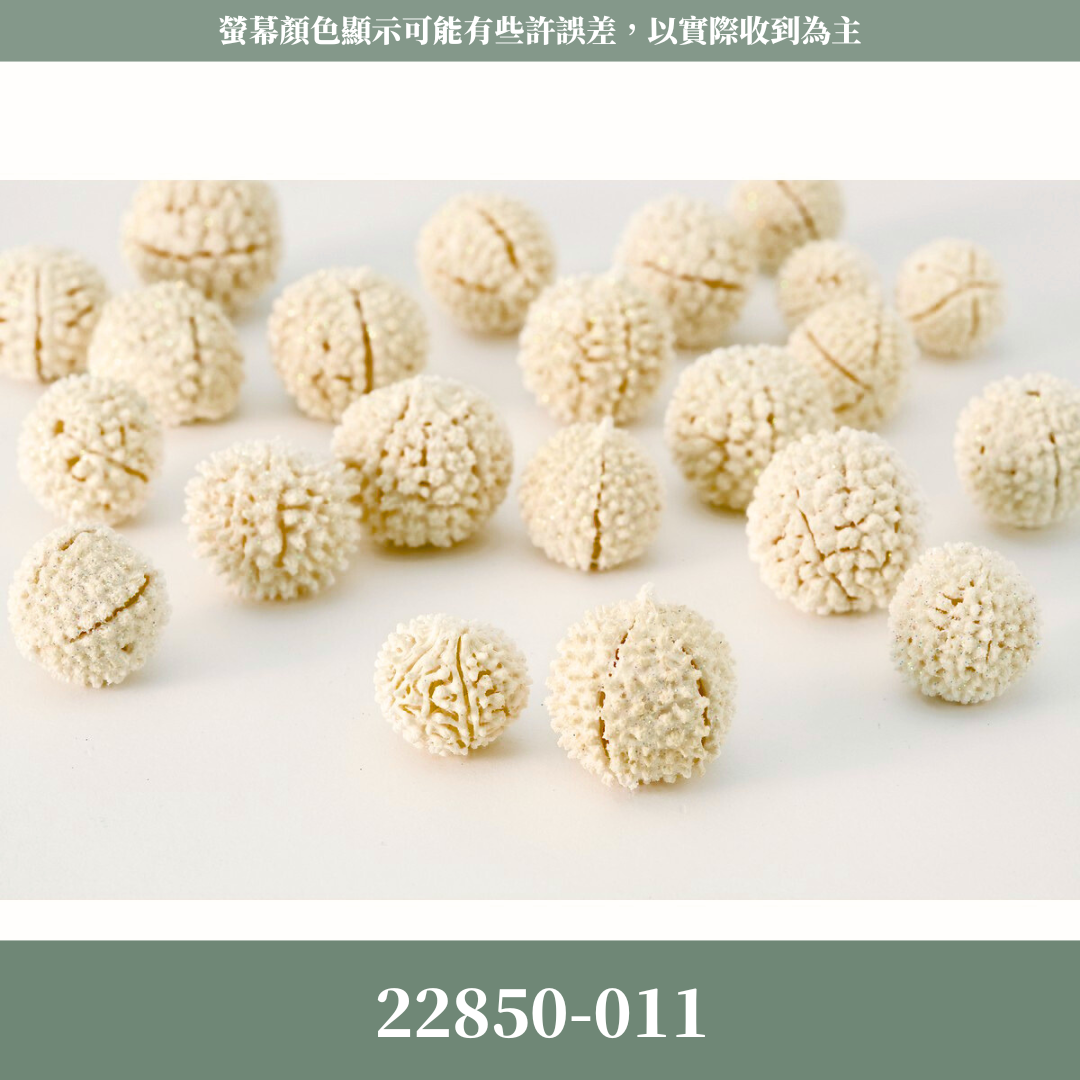 22850-011 原裝日本木丹果(35g) ｜日本大地農園 木丹果 永生果實 乾燥果實 花材 花圈拍照道具 海星果