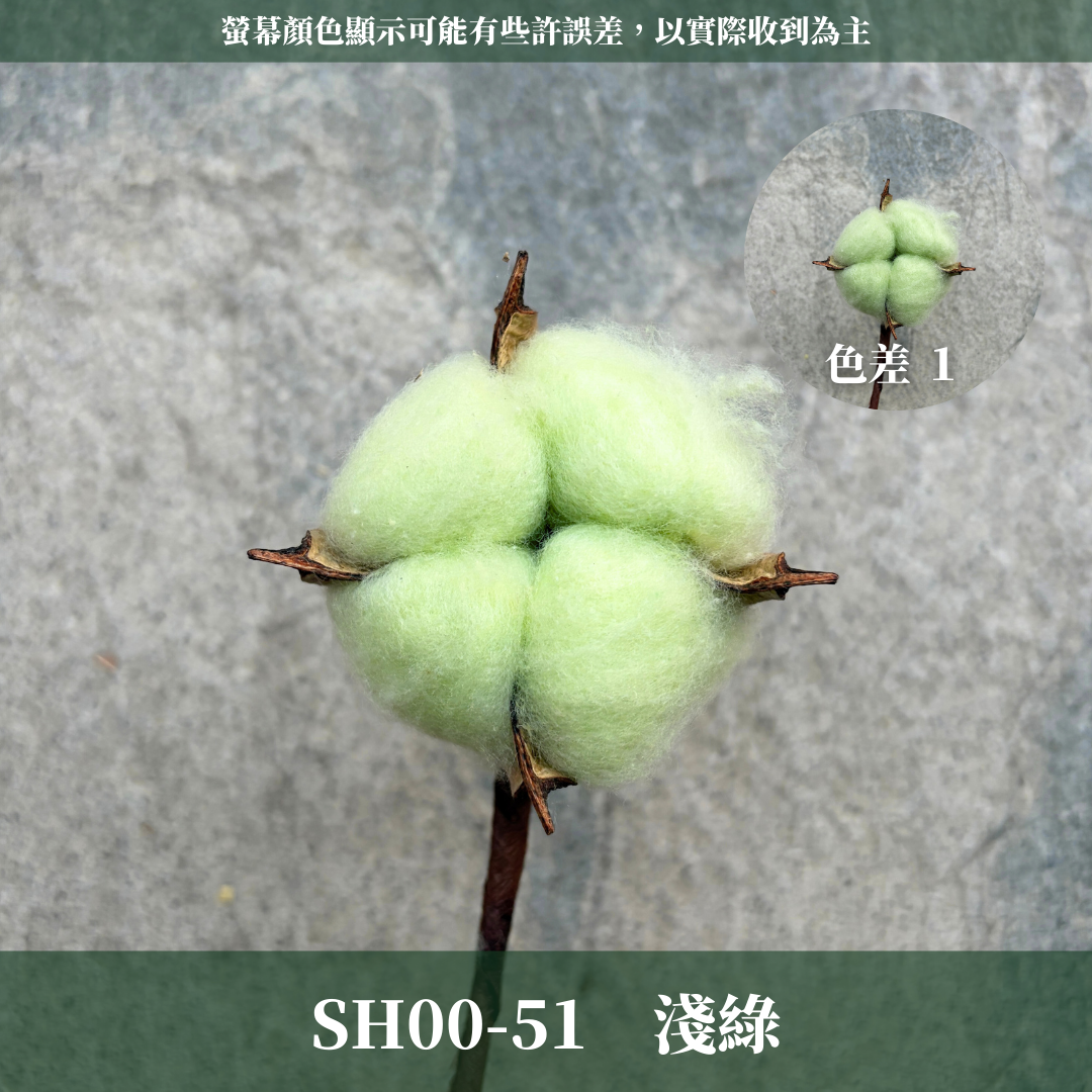 SH00s 棉花單支｜12+6種顏色 特殊五辦棉花特殊款 白色棉花 天然棉花 乾燥花 花藝 多色棉花 棉花 手工花 裝飾