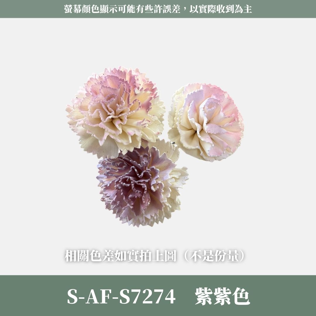 S-AF 6CM康乃馨索拉花花頭｜乾燥花 母親節擴香花 康乃馨花束 母親節花禮 DIY手作 乾燥花花束花禮 乾燥通草花頭