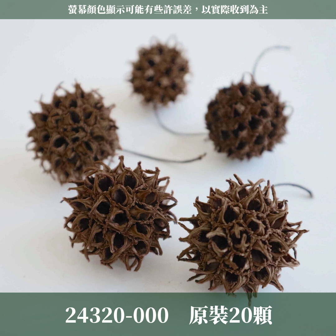 24320 原裝日本楓香果實|日本大地農園 天然楓香果實 進口乾燥果實 花圈素材 秋冬手作 聖誕裝飾