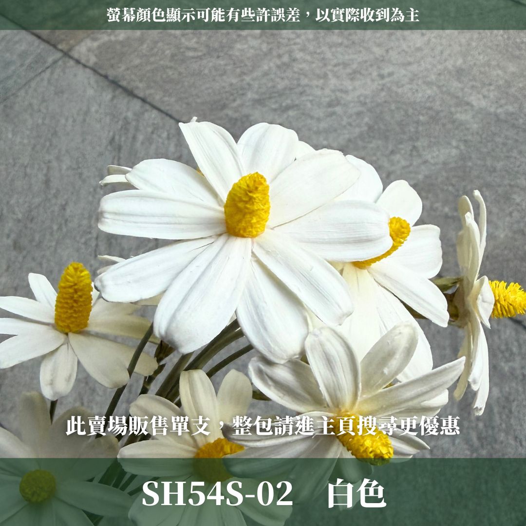 SH54S 木片瑪格麗特｜單支｜乾燥花批發 瓜子花 小雛菊 不凋花 木春菊 花藝設計 拍照道具 手工花 DIY 花藝插花