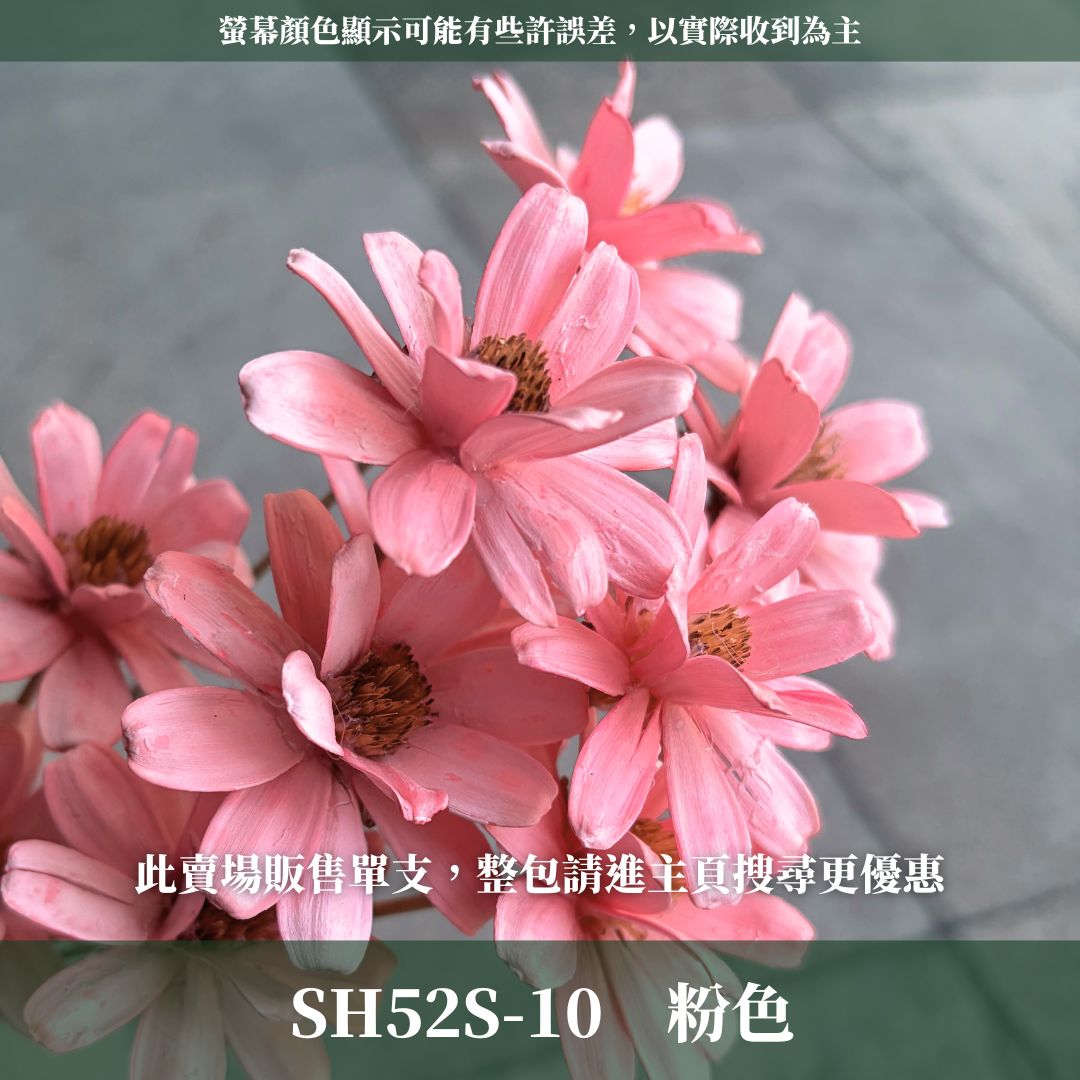 SH52S 小雛菊瓜子花單支｜5cm｜木片花 手工花 乾燥花 乾花新瓜子花 不凋花 永生花 花束花材 捧花材料 胸花手作