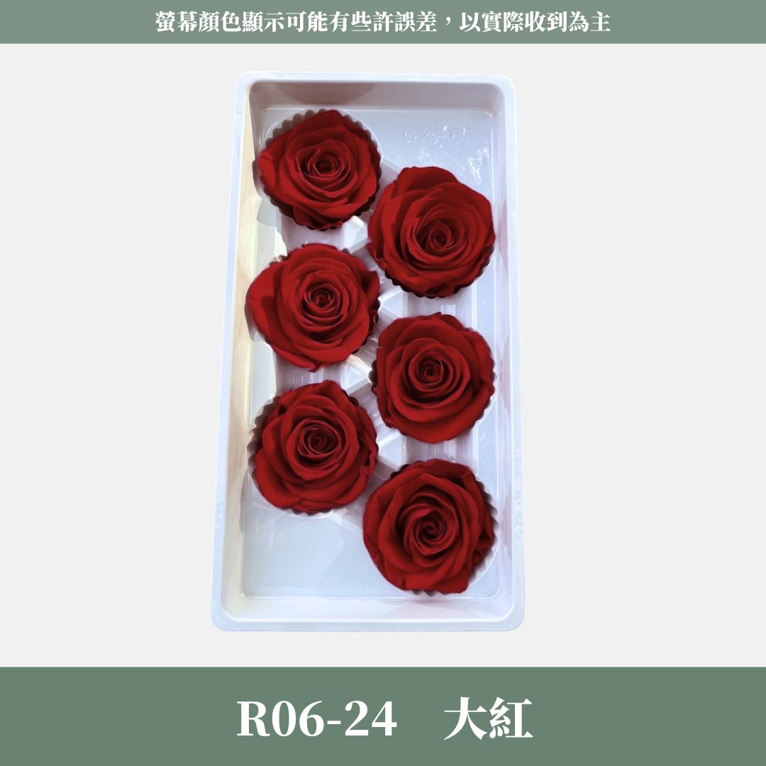 R06s A級六輪玫瑰｜買六朵省120元｜約 5-6 cm｜花藝師必買 不凋大玫瑰花頭 永生玫瑰 花束材料 捧花材料