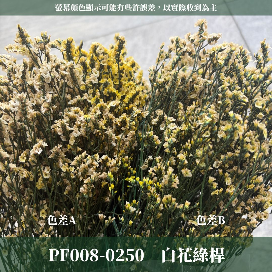 PF008 原裝水晶花｜買四送一｜花藝師必買！永生水晶花 不凋水晶花 手作花材 花藝DIY 雪花草 花材 浮游花 乾燥花