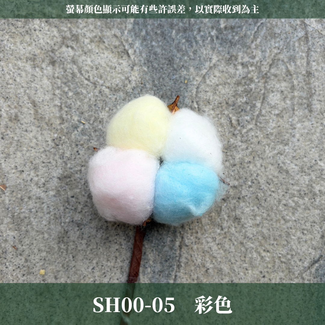 SH00s 棉花單支｜12+6種顏色 特殊五辦棉花特殊款 白色棉花 天然棉花 乾燥花 花藝 多色棉花 棉花 手工花 裝飾
