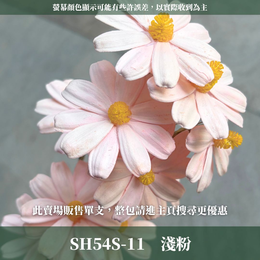 SH54S 木片瑪格麗特｜單支｜乾燥花批發 瓜子花 小雛菊 不凋花 木春菊 花藝設計 拍照道具 手工花 DIY 花藝插花