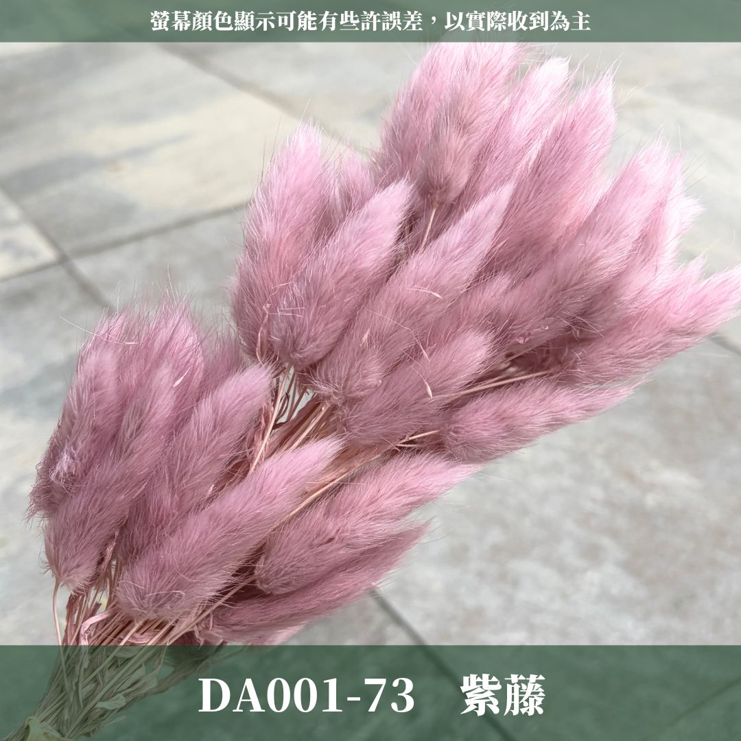DA001 原裝兔尾草｜彩色兔尾草 乾燥永生花 花束花材 莫蘭迪色 插花DIY 拍照道具 乾燥兔尾草 乾燥花