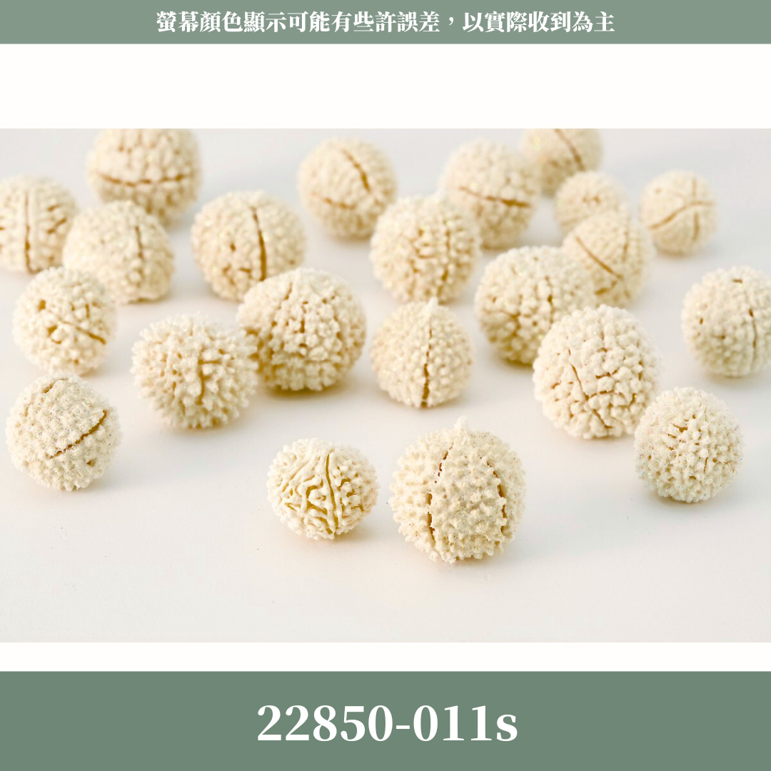 22850-011S 日本木丹果(3顆) 經濟包｜日本大地農園 木丹果 永生果實 乾燥果實 花材 花圈拍照道具 海星果