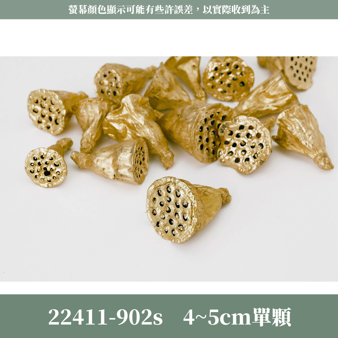 22411-902s 日本迷你蓮藕經濟包｜日本迷你蓮藕 金色乾燥果實 日本大地農園 花圈材料 聖誕裝飾 花藝擺飾