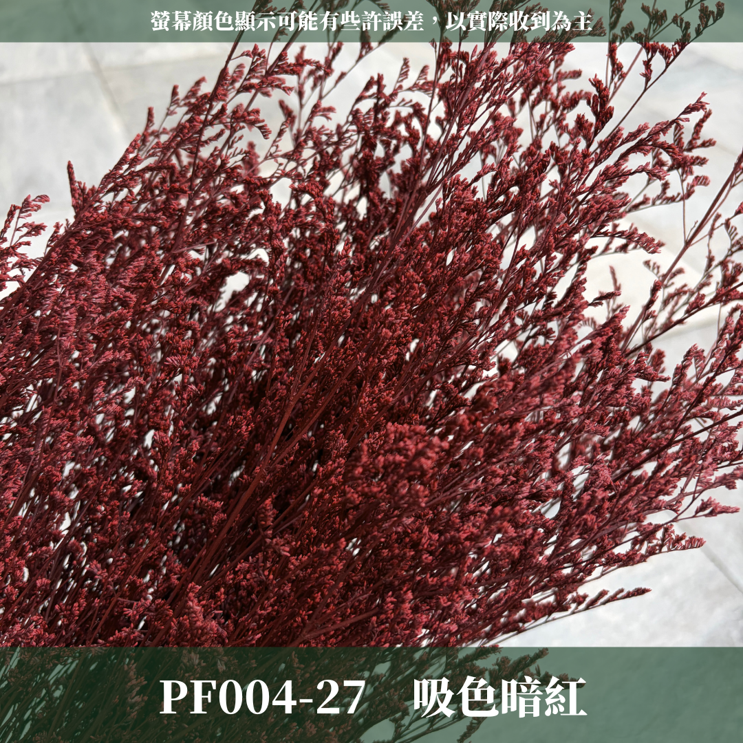 PF004 原裝卡斯比亞｜情人草