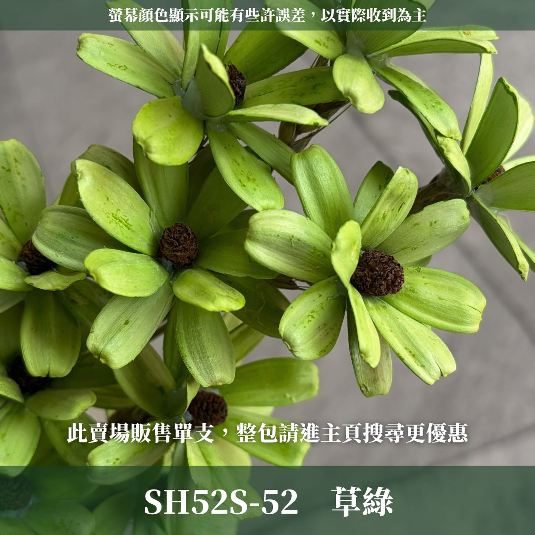 SH52S 小雛菊瓜子花單支｜5cm｜木片花 手工花 乾燥花 乾花新瓜子花 不凋花 永生花 花束花材 捧花材料 胸花手作
