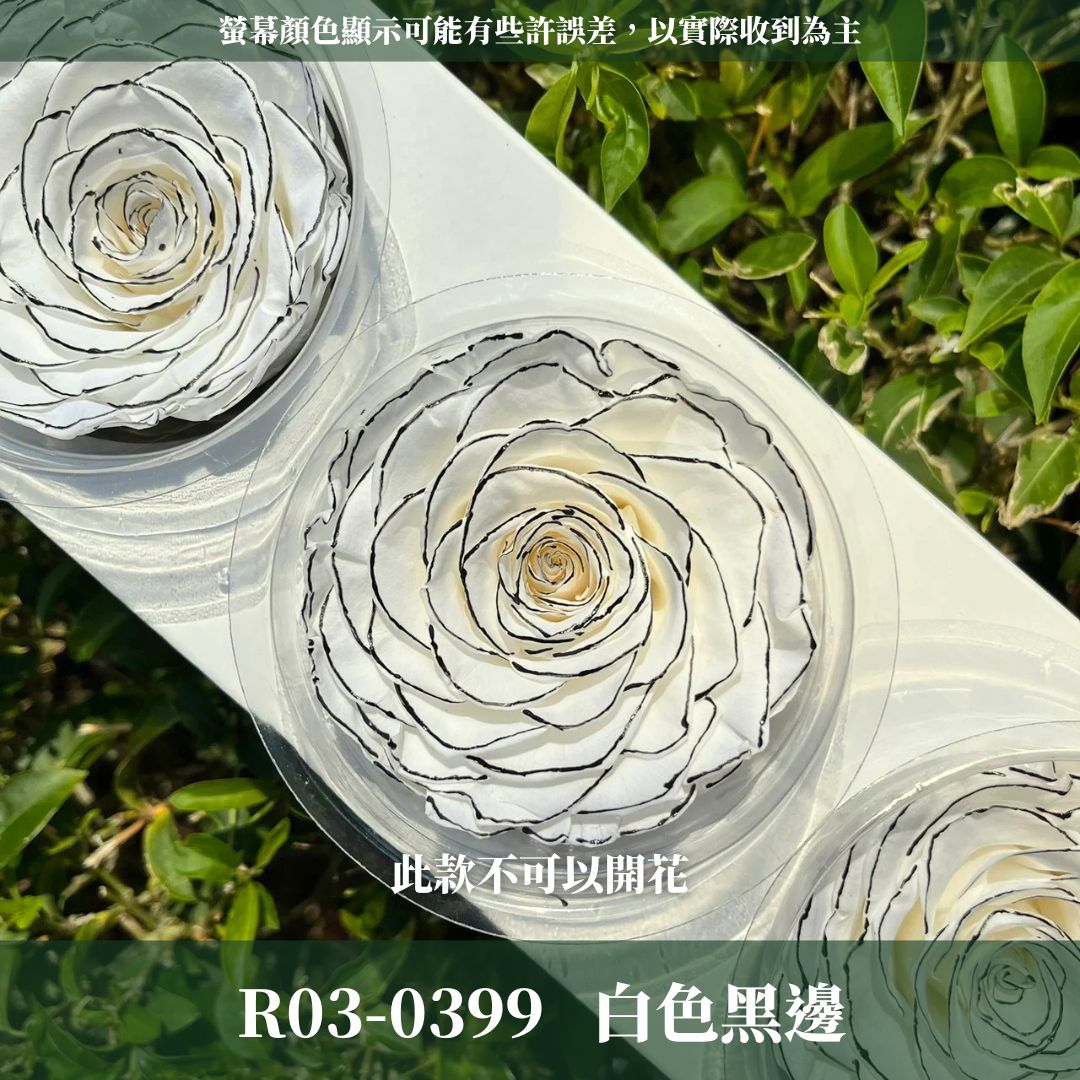 R03s 永生7~8 CM拼接玫瑰｜買三顆省246元｜永生巨型玫瑰 不凋玫瑰花頭 花束花材 永生花 乾燥花 拚色混色花朵