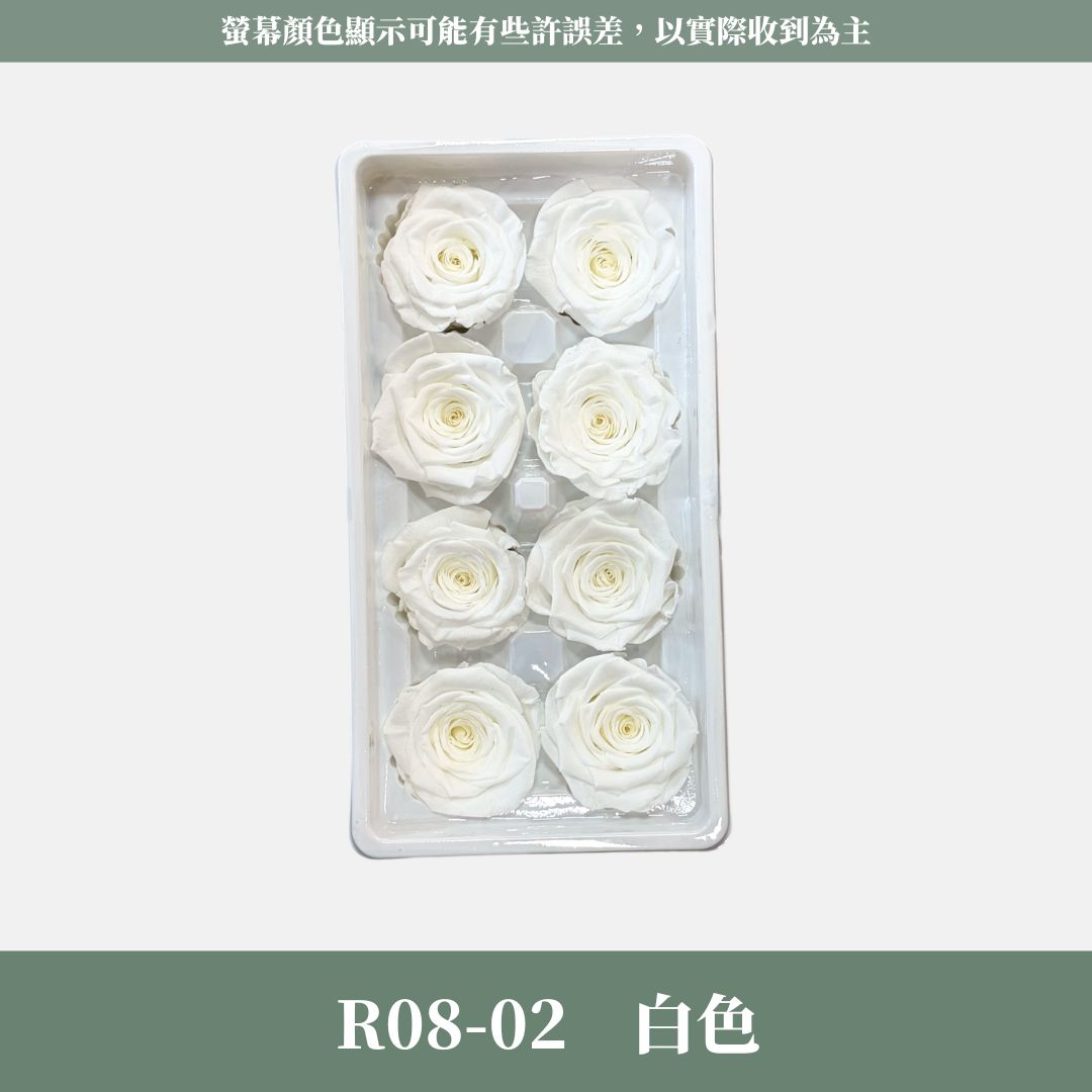R08 A級八輪玫瑰｜約 4-5 cm｜花藝師必買 不凋大玫瑰花頭 永生玫瑰 香頌玫瑰 甦醒玫瑰 花束材料 捧花材料