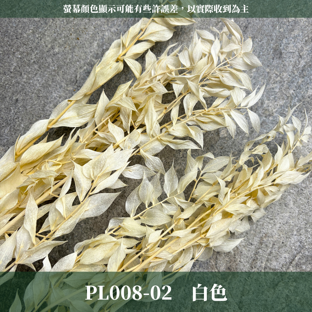 PL008 原裝永生富貴葉｜共五色！永生葉材 批發價 金色富貴葉 銀色富貴葉 乾燥花 永生花 熊貓竹 花藝材料 不凋花