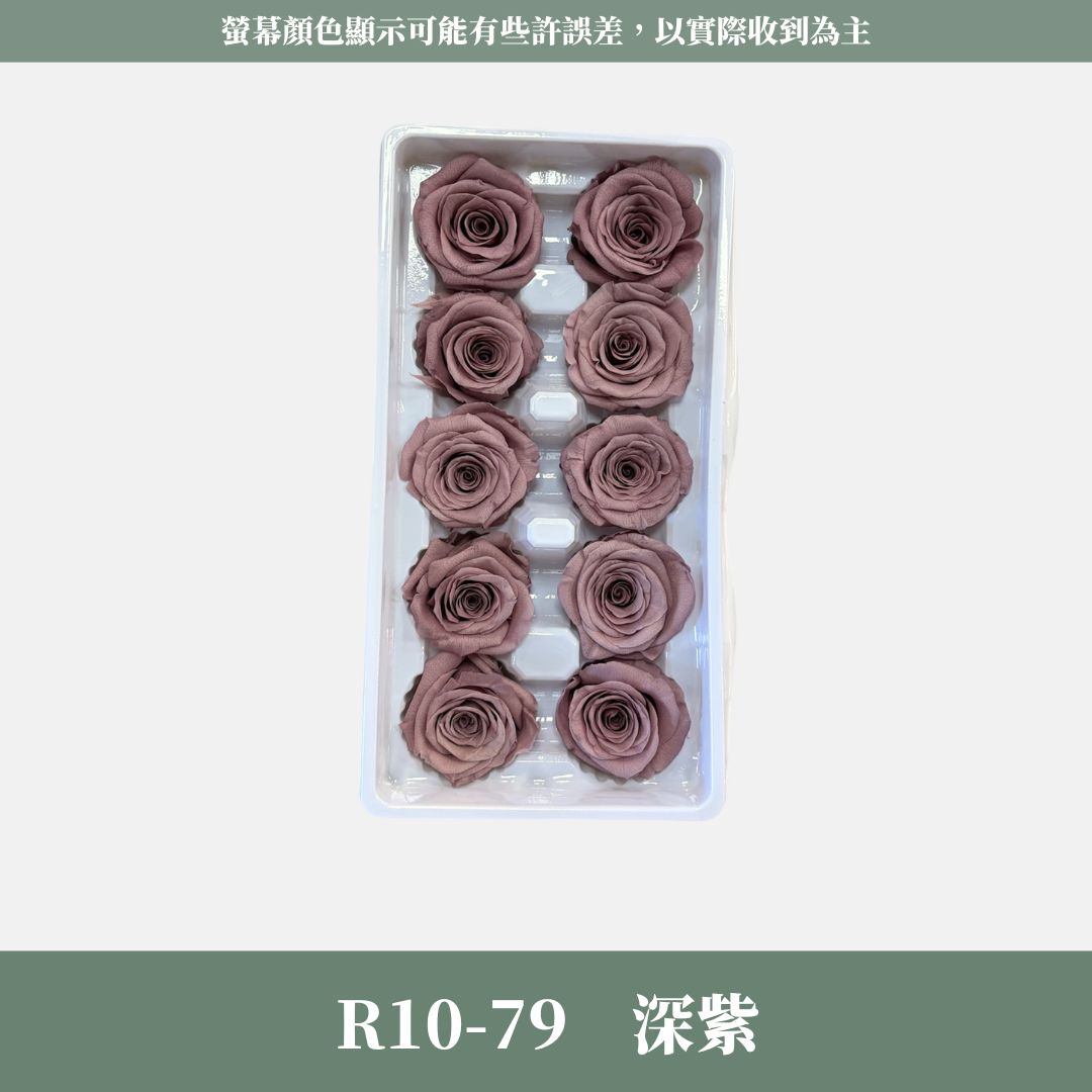R10s A級十輪玫瑰｜買十朵省130元｜約 3-4 cm｜花藝師必買 不凋大玫瑰花頭 永生玫瑰 花束材料 捧花材料