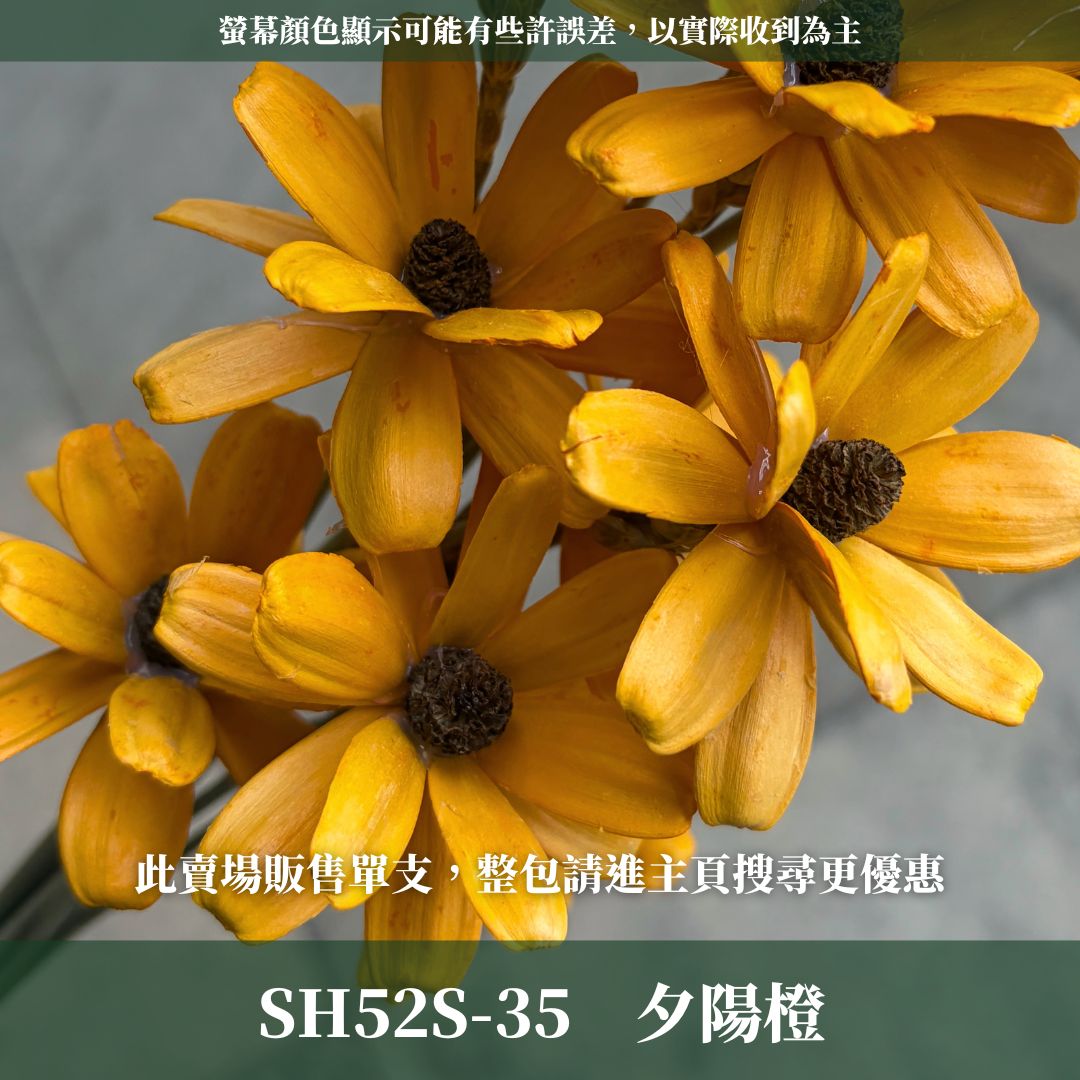 SH52S 小雛菊瓜子花單支｜5cm｜木片花 手工花 乾燥花 乾花新瓜子花 不凋花 永生花 花束花材 捧花材料 胸花手作