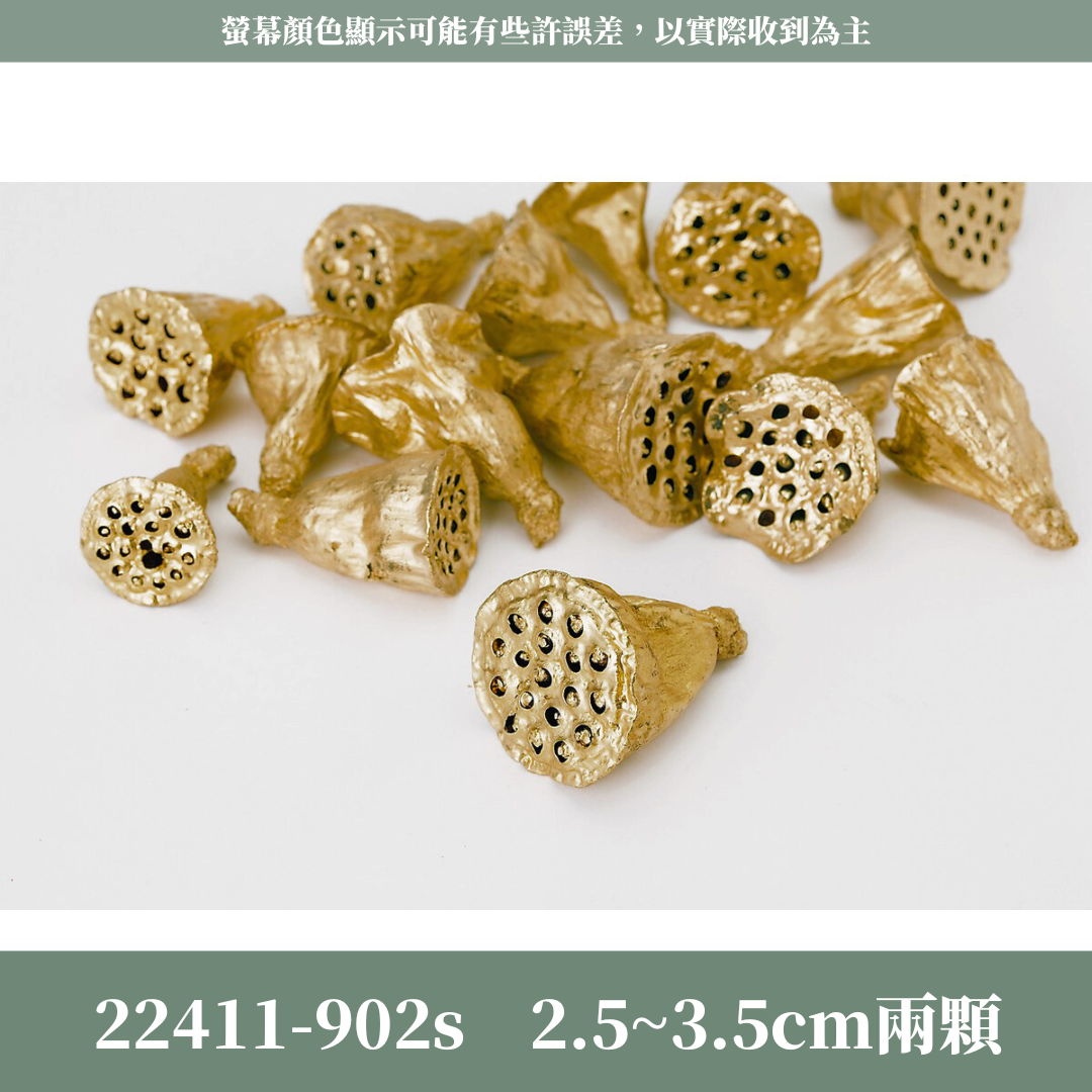22411-902s 日本迷你蓮藕經濟包｜日本迷你蓮藕 金色乾燥果實 日本大地農園 花圈材料 聖誕裝飾 花藝擺飾